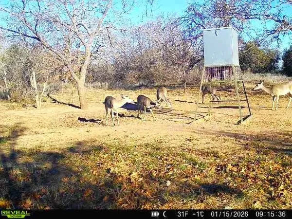 $532,750 | 16820 County Road 429, Cross Plains, TX 76443