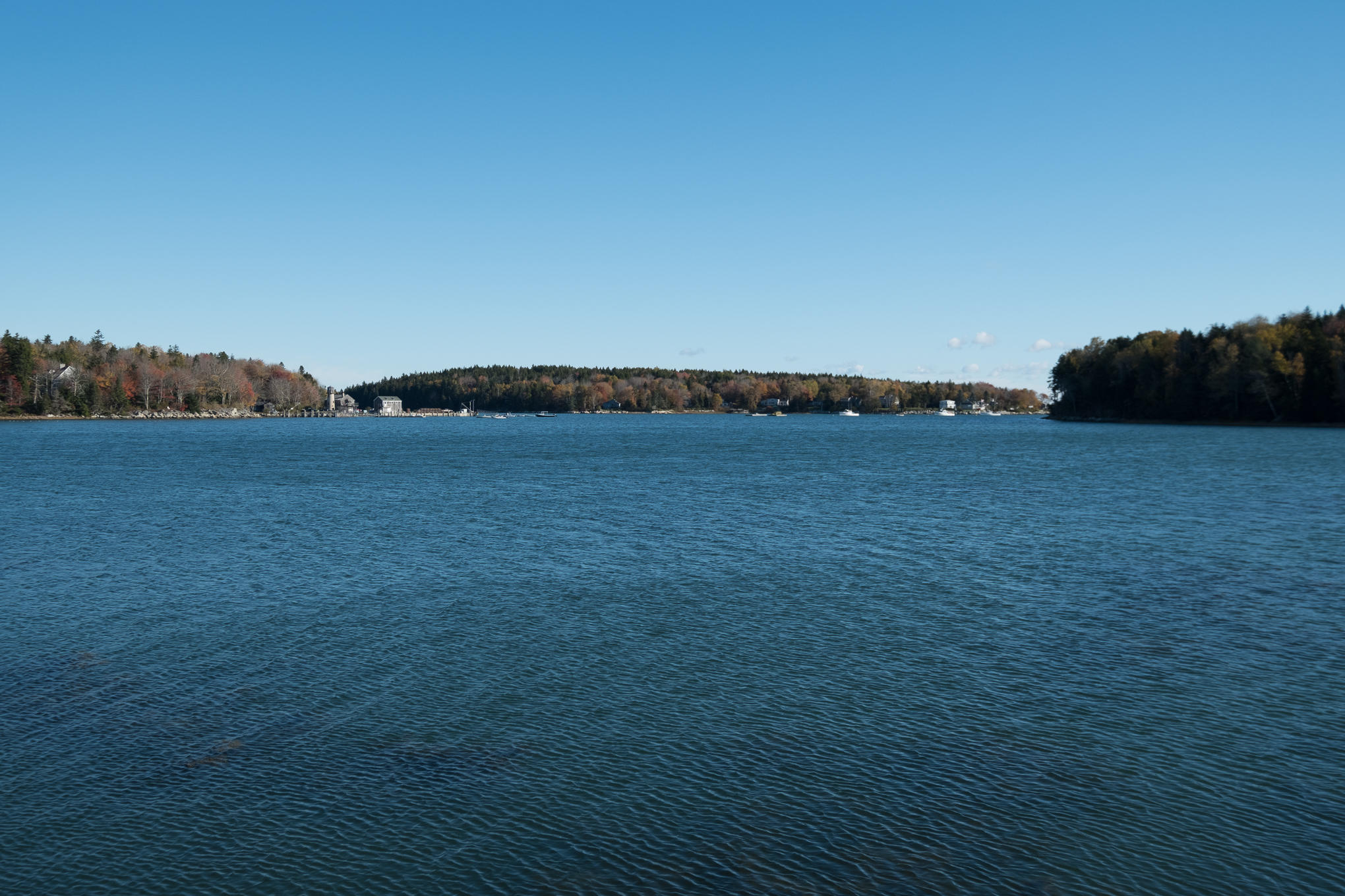 561 Island Avenue St. George, ME 04859 - Photo 5 of 69 561 Island Ave - Rackliff Island - MB63