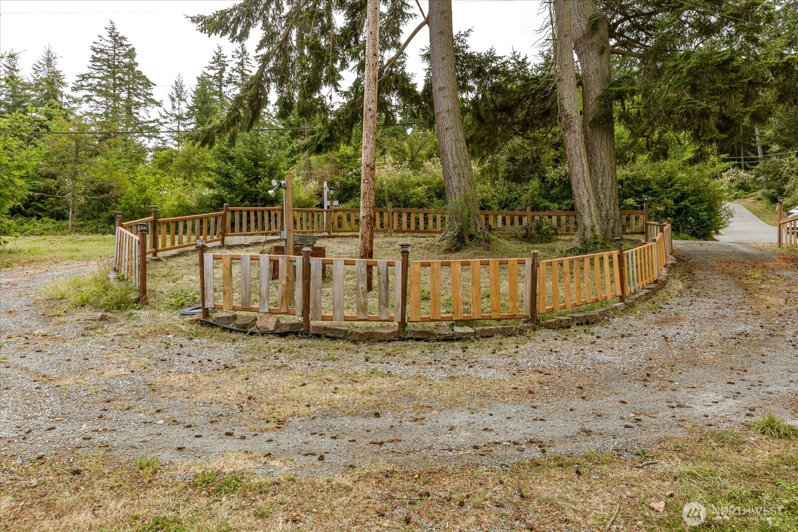99 East Morris Road Coupeville, WA 98239 - Photo 31 of 32 a view of a park with large trees