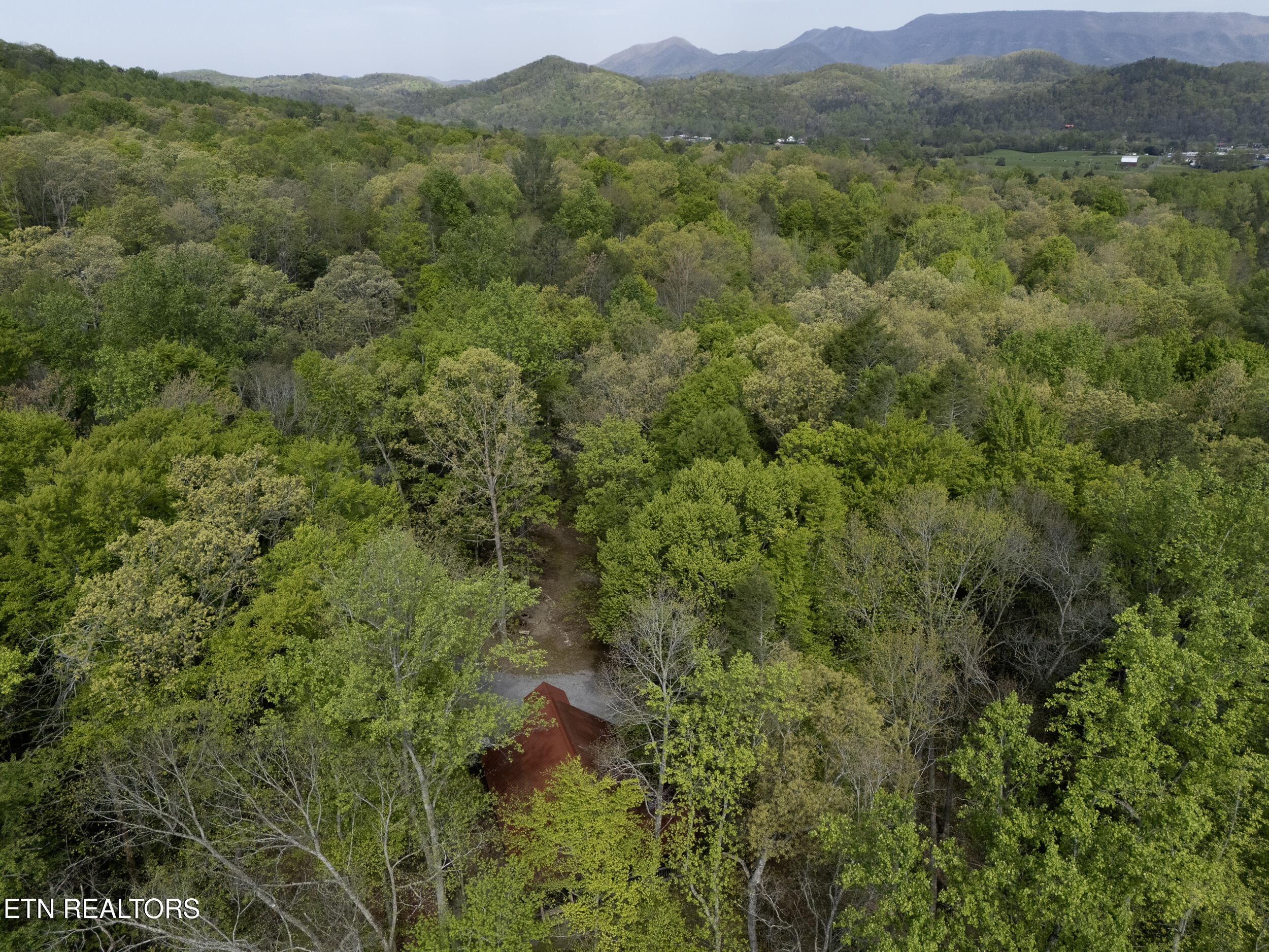 3364 Rocky Ridge Road Cosby, TN 37722 - Photo 27 of 34 drone (4)