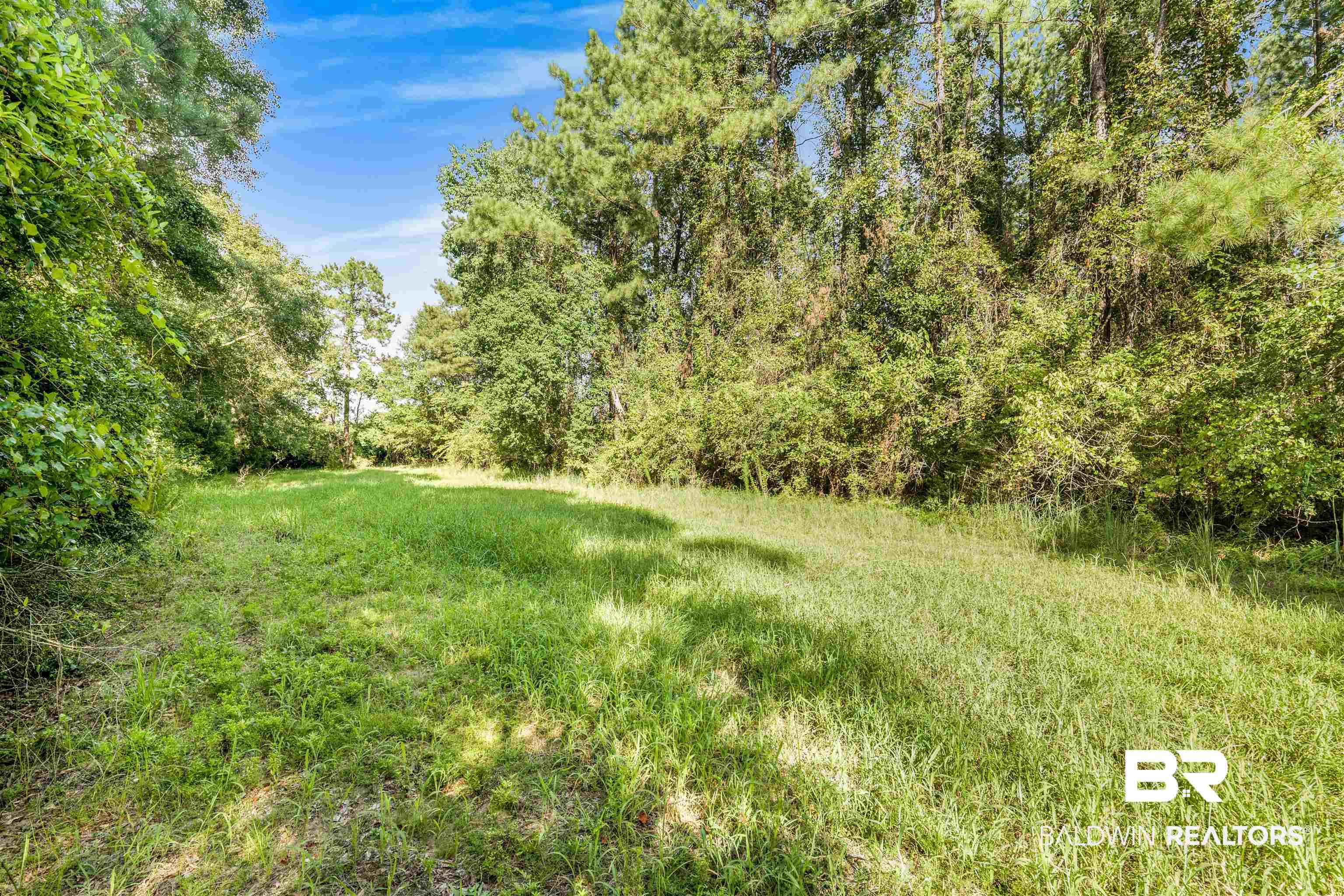 27861 New Hope Church Road Robertsdale, AL 36567 - Photo 14 of 29 View of yard