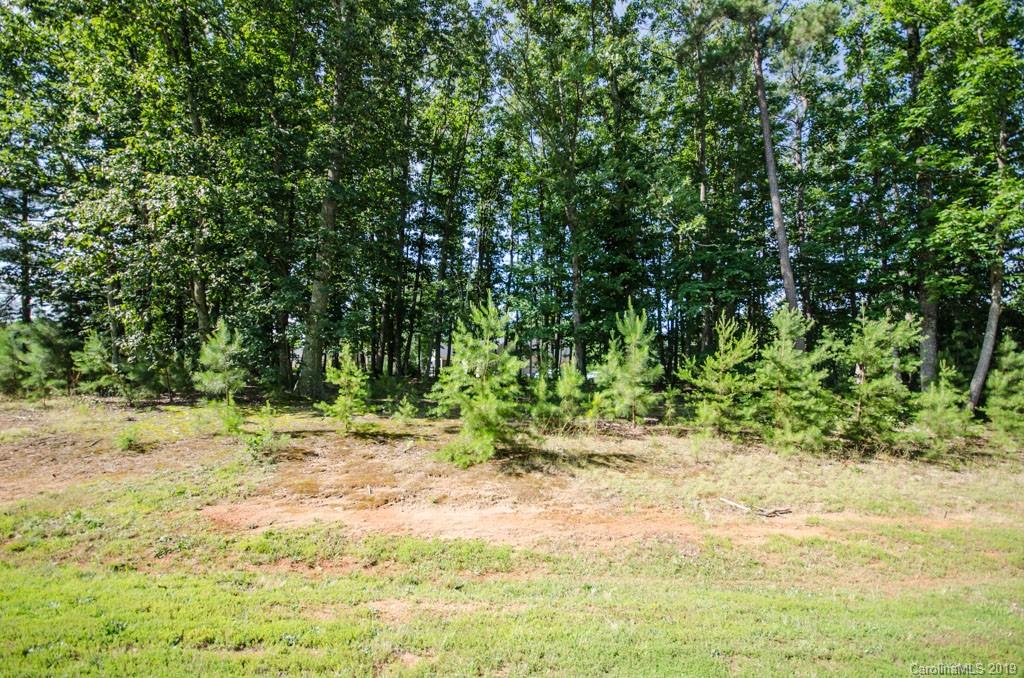 0 Blair Road Maiden, NC 28650 - Photo 6 of 10 Gallery Image 6