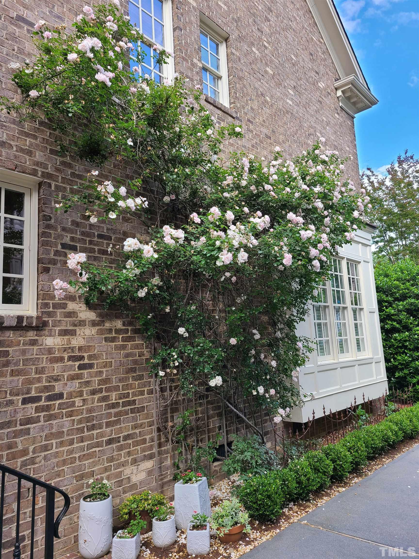 2113 Cowper Drive Raleigh, NC 27608 - Photo 44 of 48 ...greets you coming and going