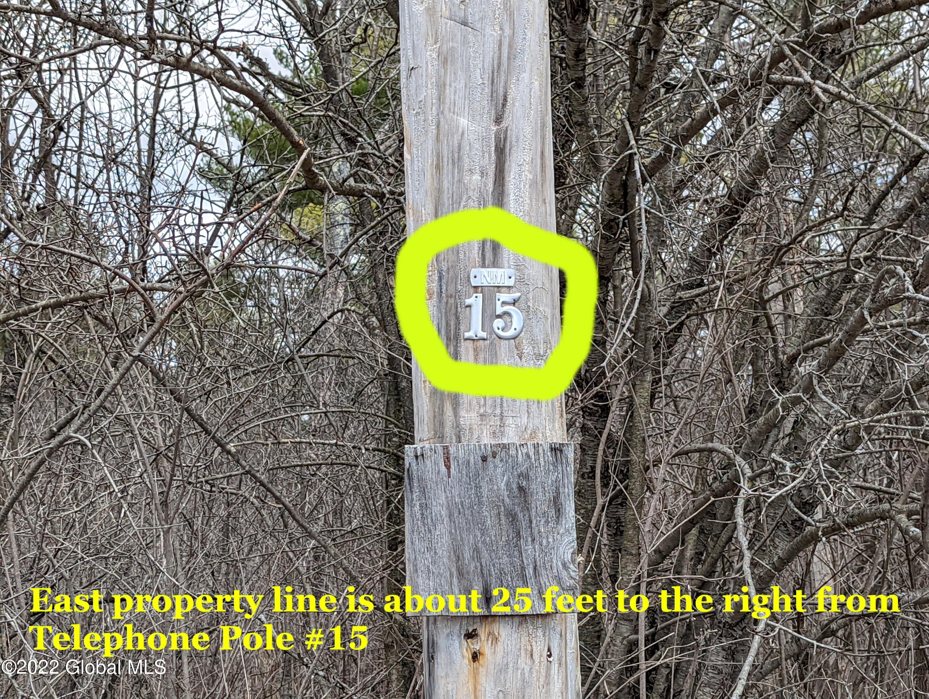 0 Zimmer Road Altamont, NY 12009 - Photo 8 of 8 07A_Telephone_Pole_15_For_Aiding_East_Ri