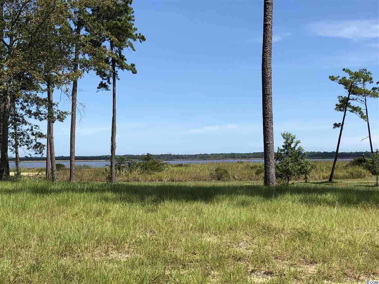 Lot # South Bay Street Georgetown, SC 29440 - Photo 2 of 16 Gallery Image 2