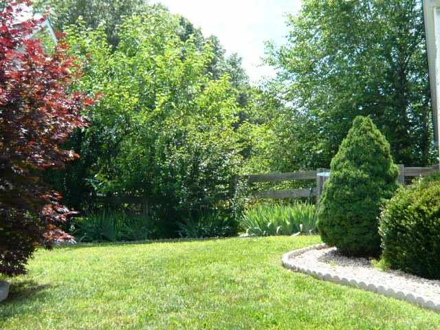 78 Fall Ridge Drive Stuarts Draft, VA 24477 - Photo 4 of 10 Gallery Image 4