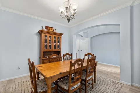 a living room with furniture kitchen view and a potted plant
