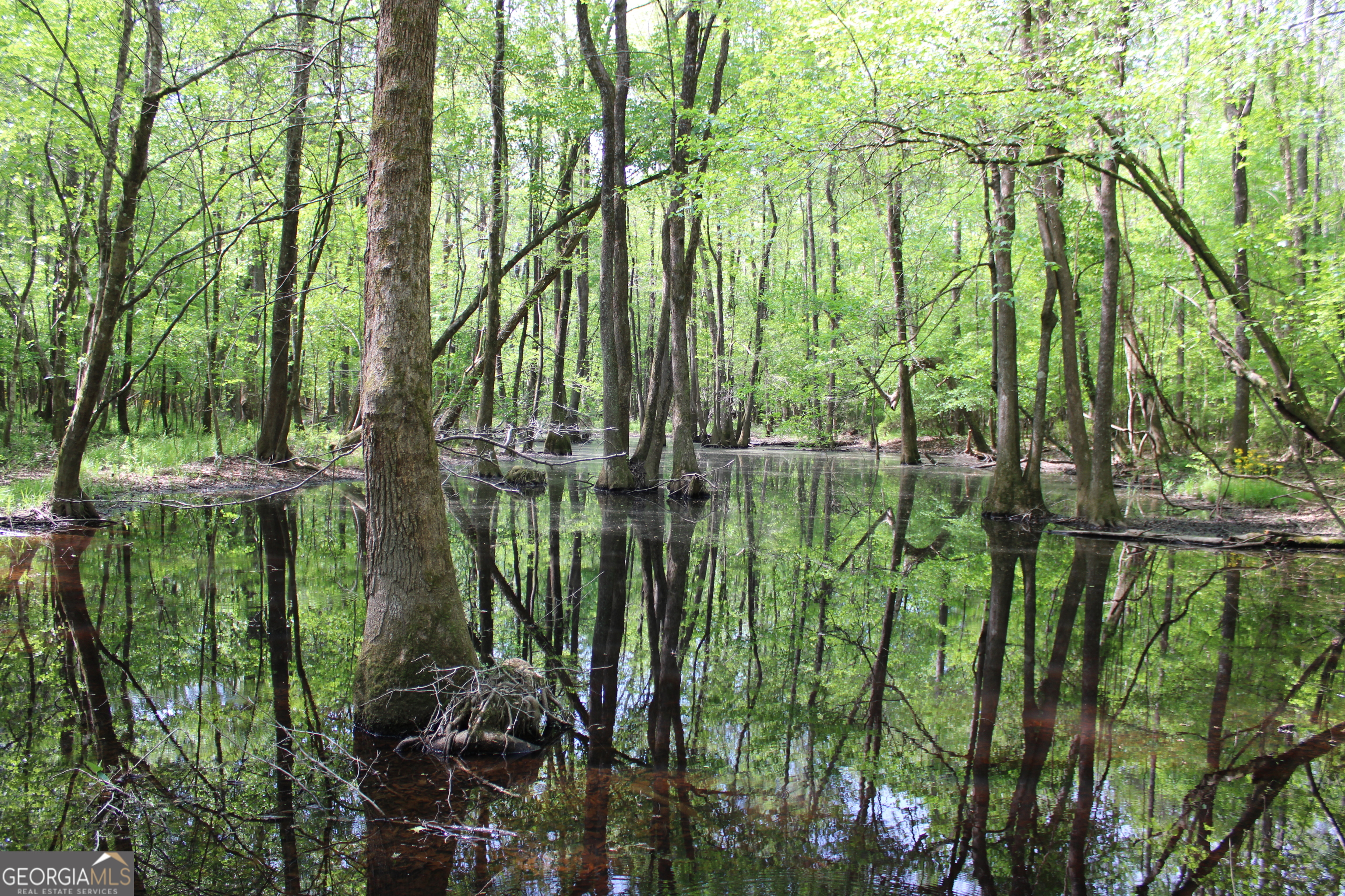0 Ruffner Road The Rock, GA 30285 - Photo 3 of 51 a view of lake