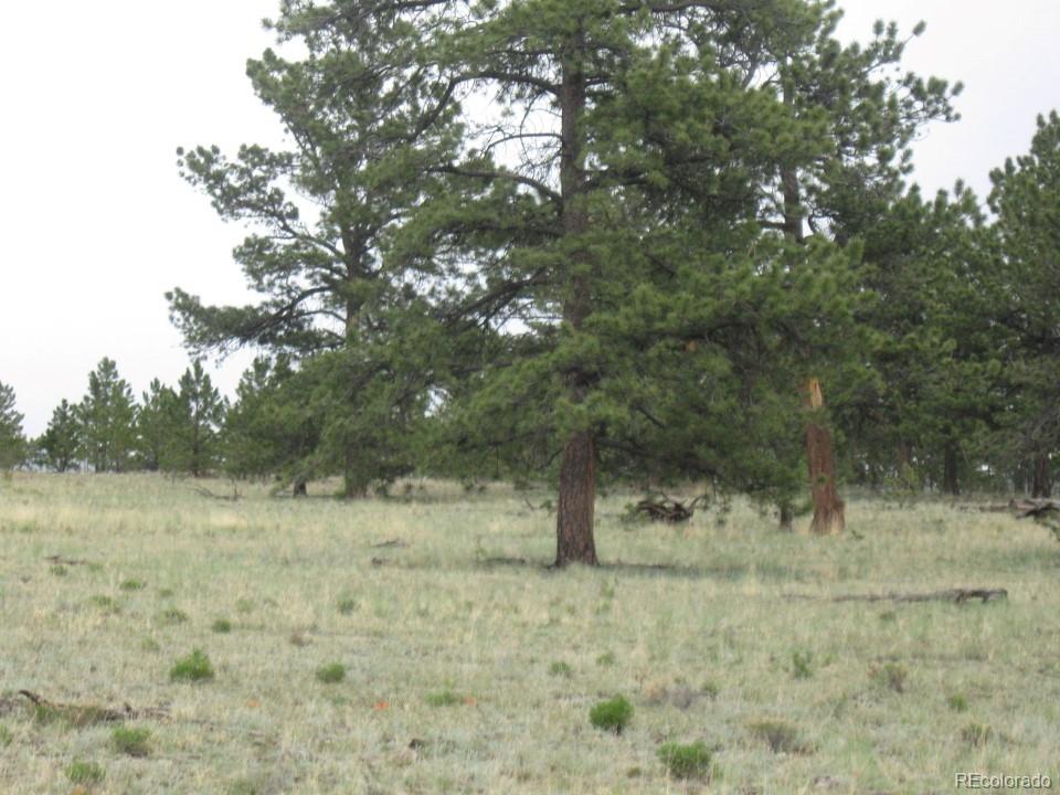 2159 Arapaho Road Hartsel, CO 80449 - Photo 3 of 5