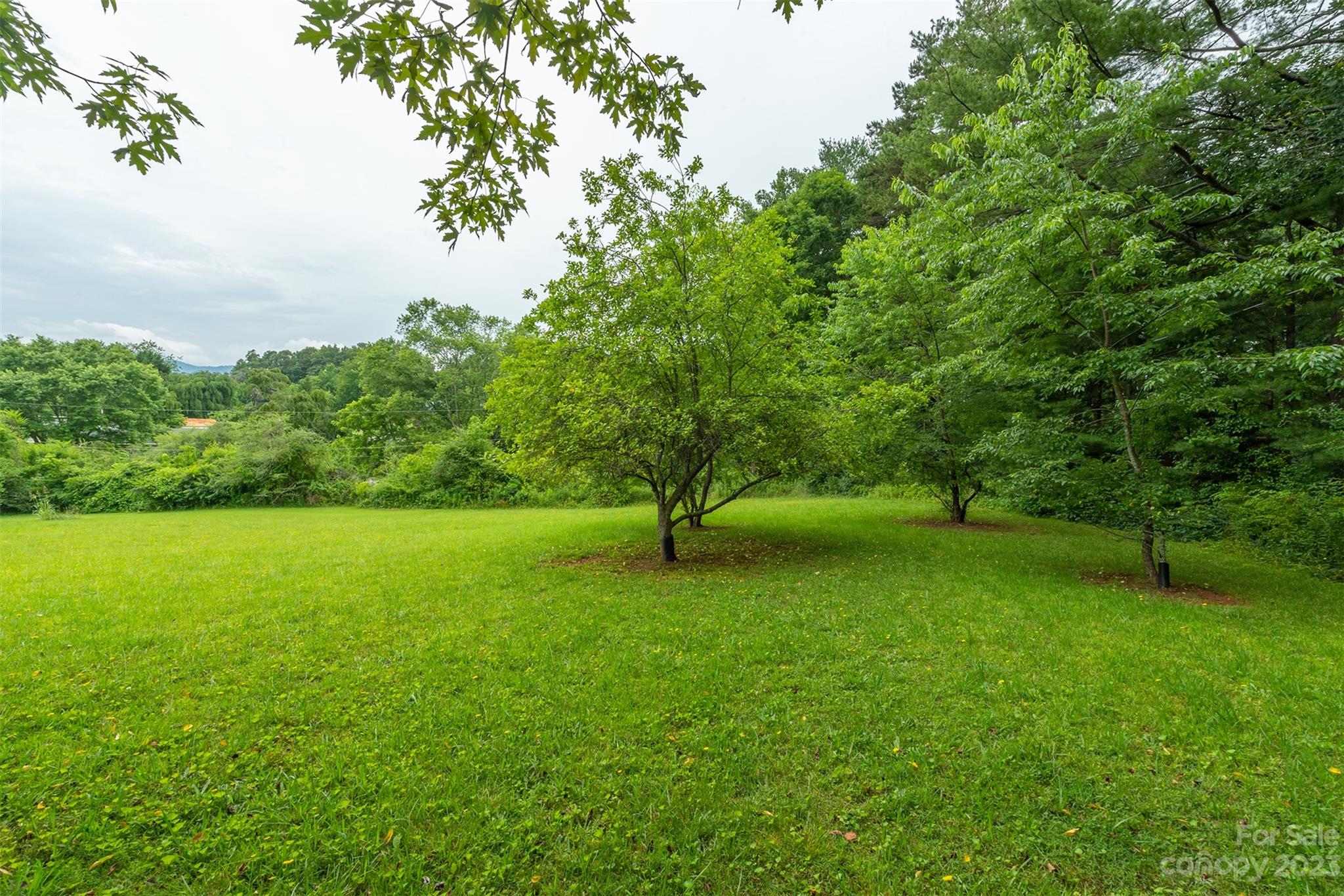 2145 Jenkins Valley Road Alexander, NC 28701 - Photo 47 of 48 Gallery Image 47
