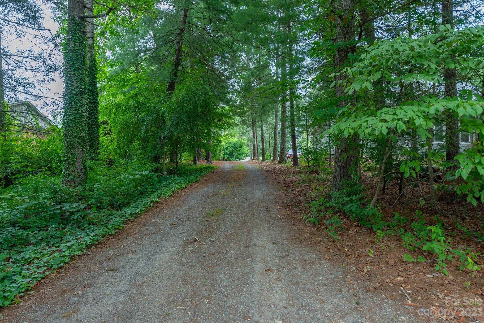 2145 Jenkins Valley Road Alexander, NC 28701 - Photo 6 of 48 Gallery Image 6