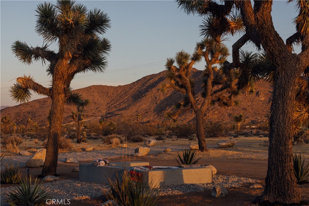 60220 Drexel Road Joshua Tree, CA 92252 - Photo 63 of 75