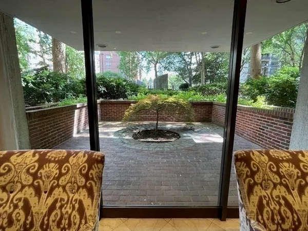 a view of a yard