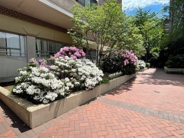 10 Hawthorne Place, Unit 106 Boston, MA 02114 - Photo 27 of 32 a bunch of flowers are in a yard