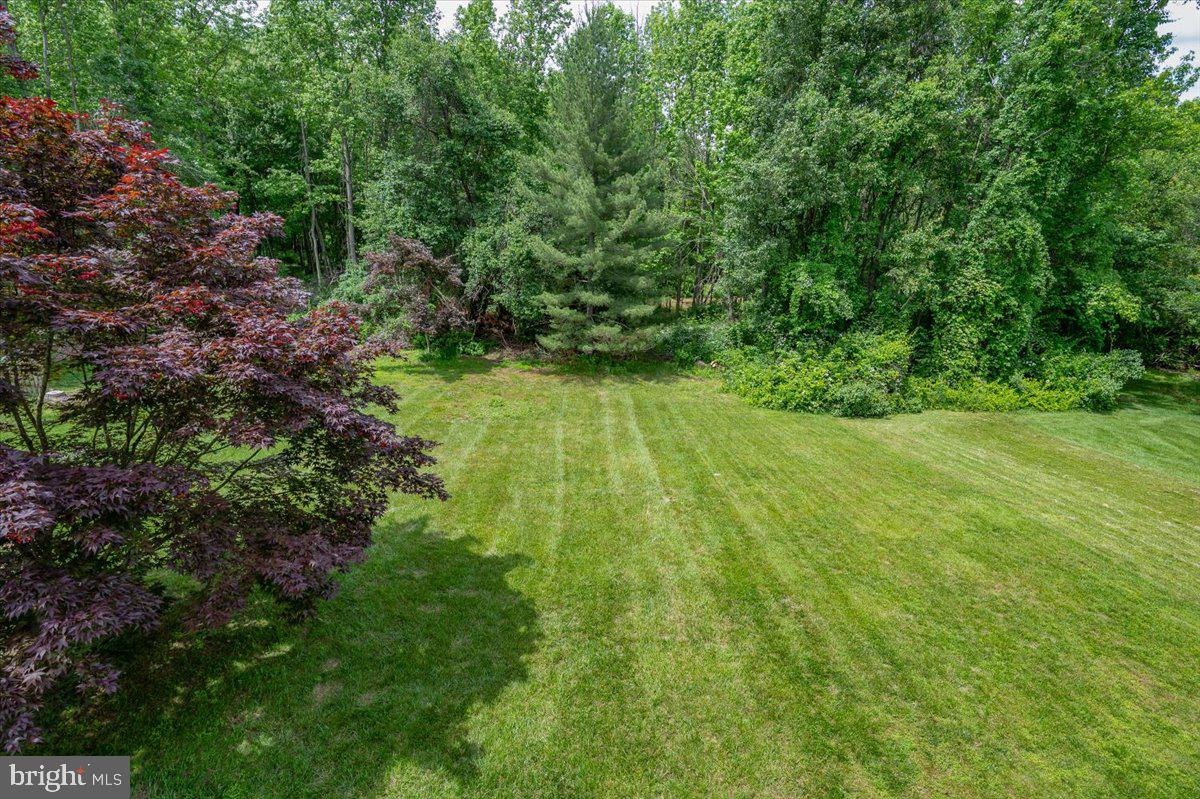 77 Wicklow Road Bear, DE 19701 - Photo 16 of 54 View of Backyard