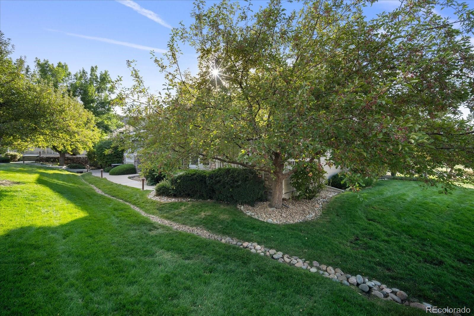6115 Trailhead Road Highlands Ranch, CO 80130 - Photo 8 of 40 a view of a garden