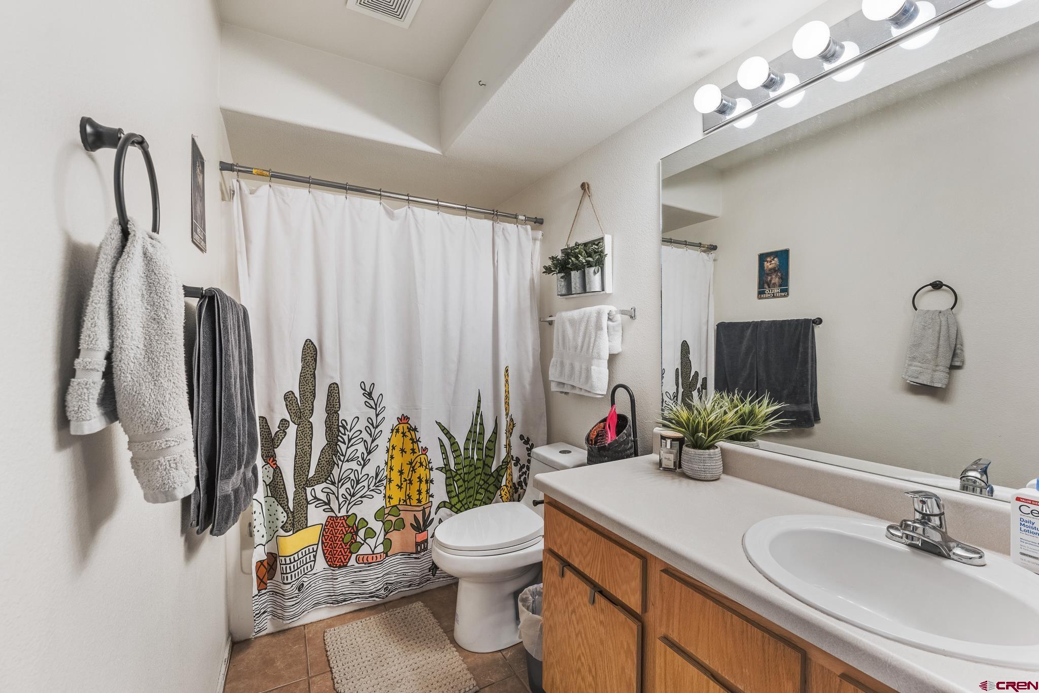 1100 Goeglein Gulch Road, Unit 206 Durango, CO 81301 - Photo 13 of 29 a bathroom with a sink vanity mirror and toilet