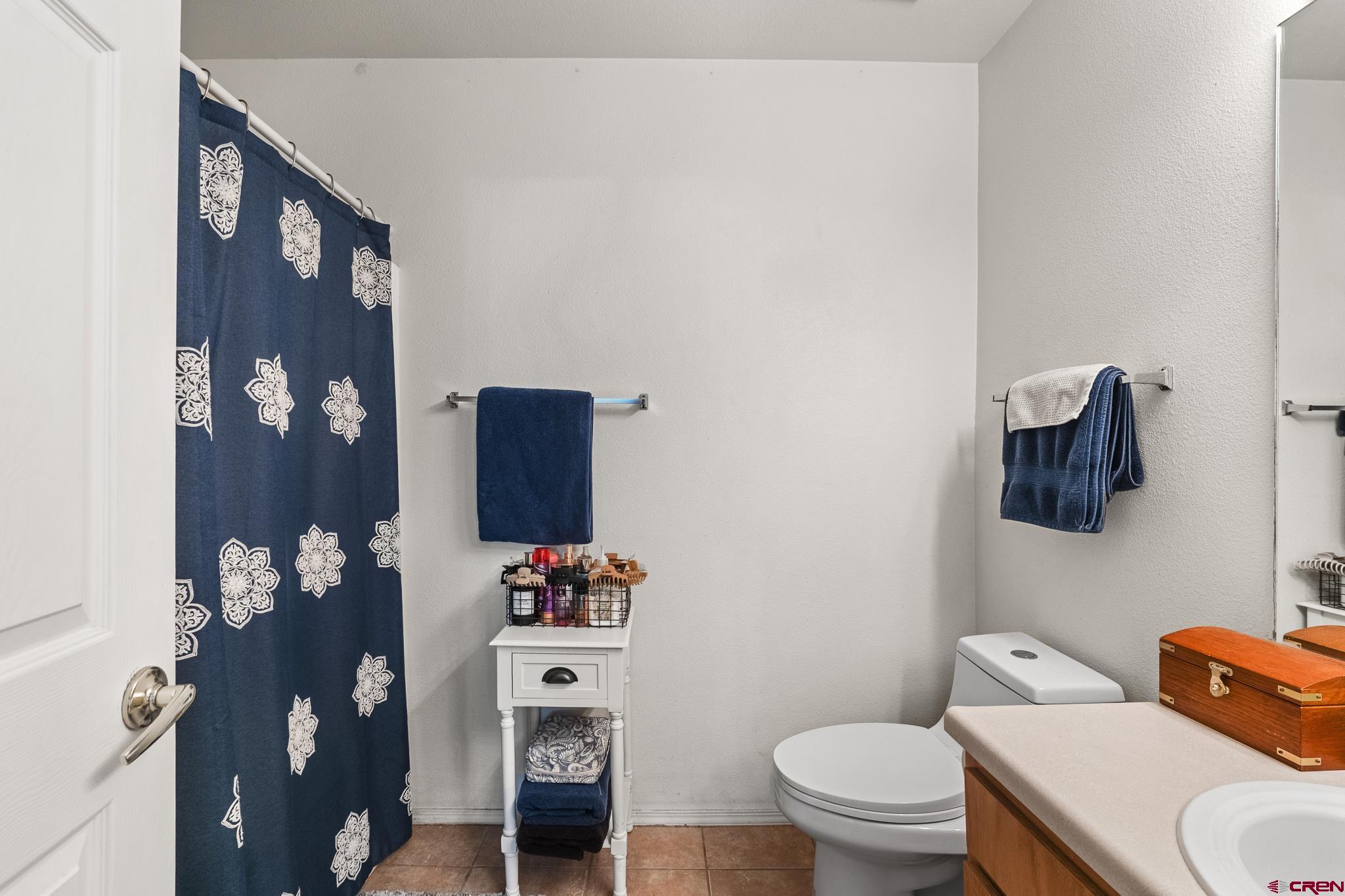 1100 Goeglein Gulch Road, Unit 206 Durango, CO 81301 - Photo 16 of 29 a bathroom with a toilet sink and mirror