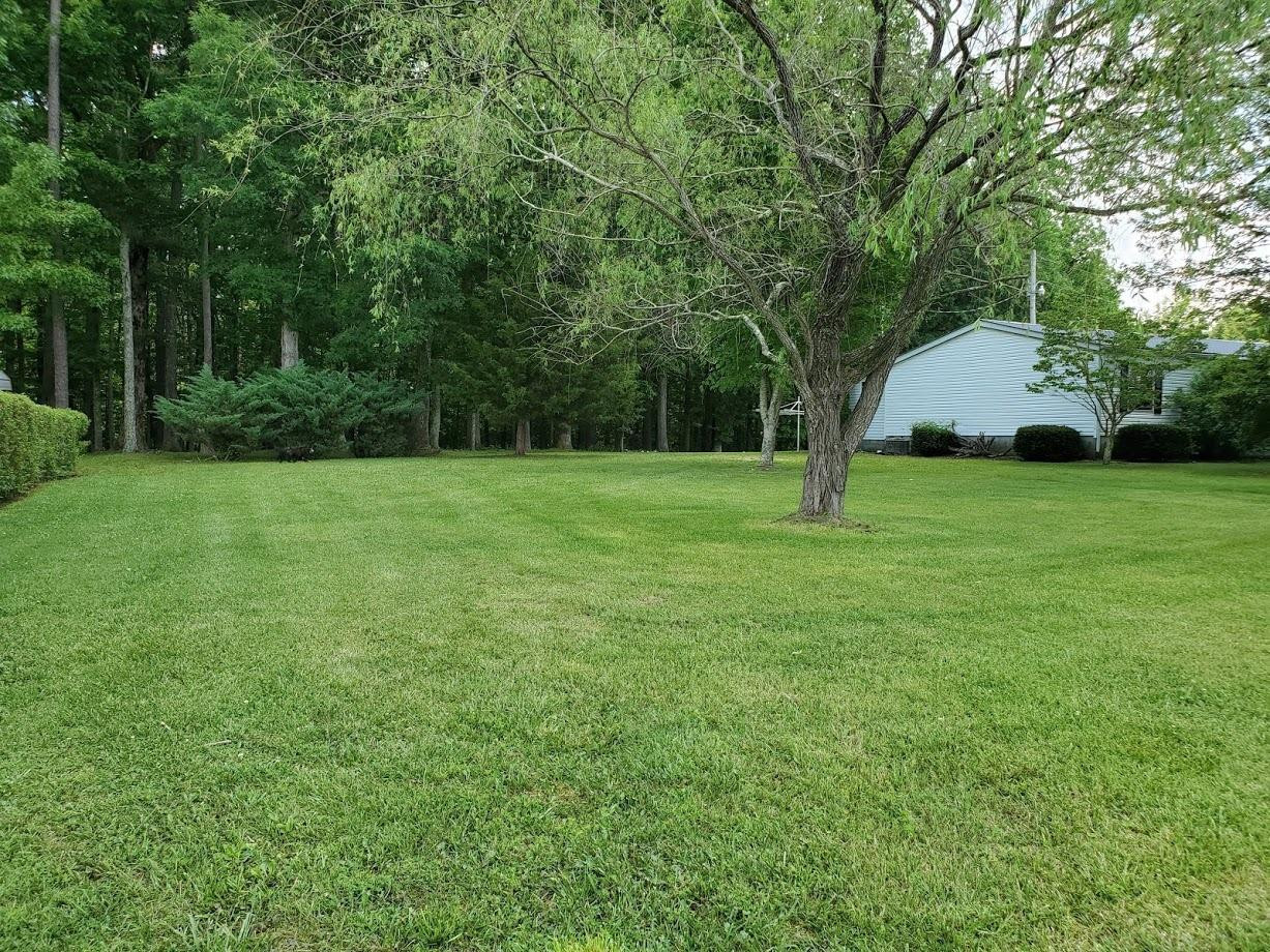 51 Brushy Ridge Road McKee, KY 40447 - Photo 6 of 21 Photo 6
