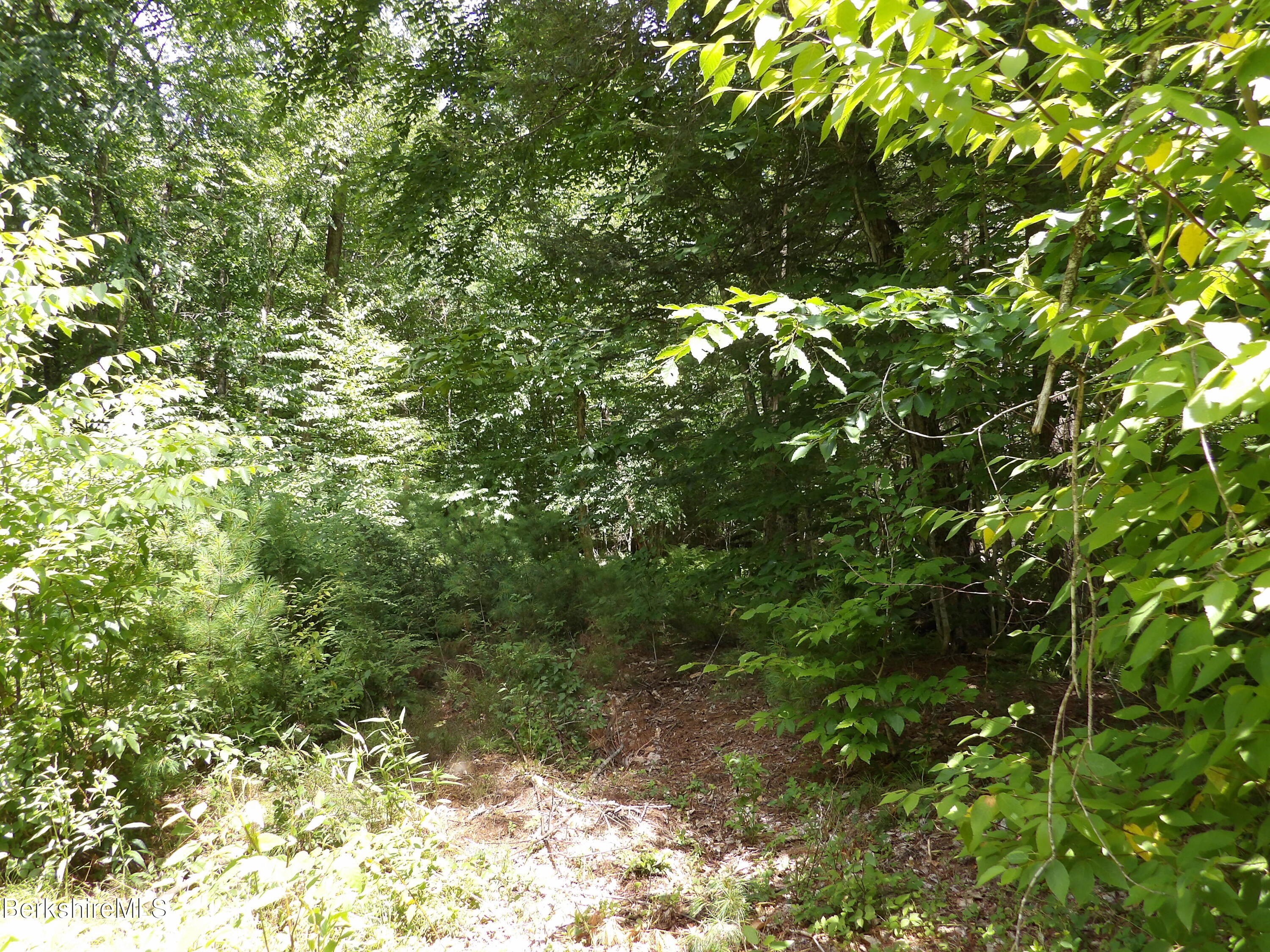 Avery Brook Road Charlemont, MA 01346 - Photo 7 of 19 ABR4