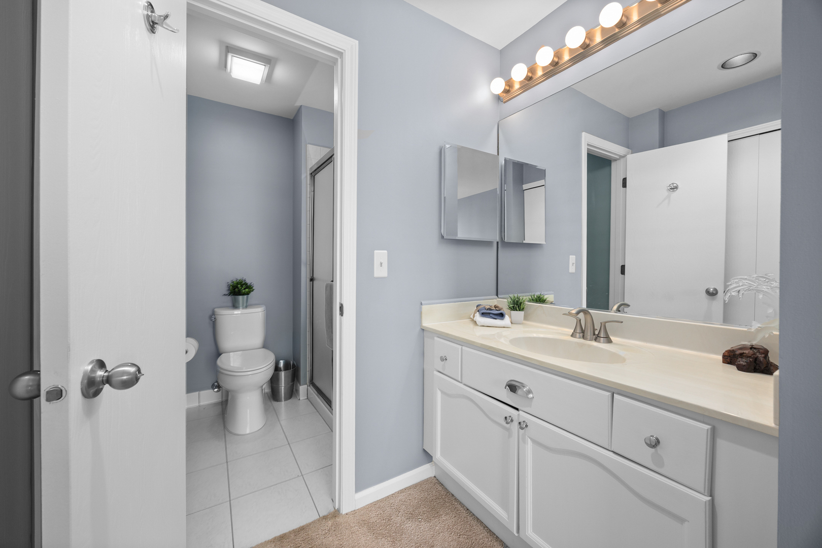 815 Leicester Road, Unit 219 Elk Grove Village, IL 60007 - Photo 16 of 26 a bathroom with a sink a toilet and shower