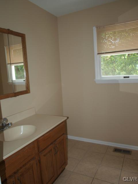 4952 Cedar Grove Road Bangor, PA 18013 - Photo 38 of 50 a bathroom with a sink vanity and a bathtub