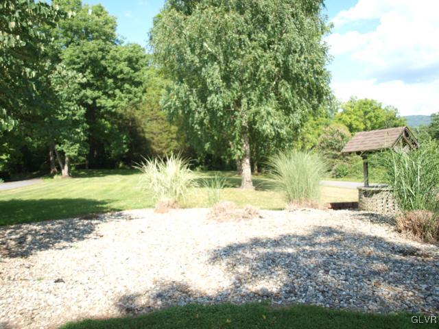 4952 Cedar Grove Road Bangor, PA 18013 - Photo 45 of 50 a view of a yard with plants and large trees