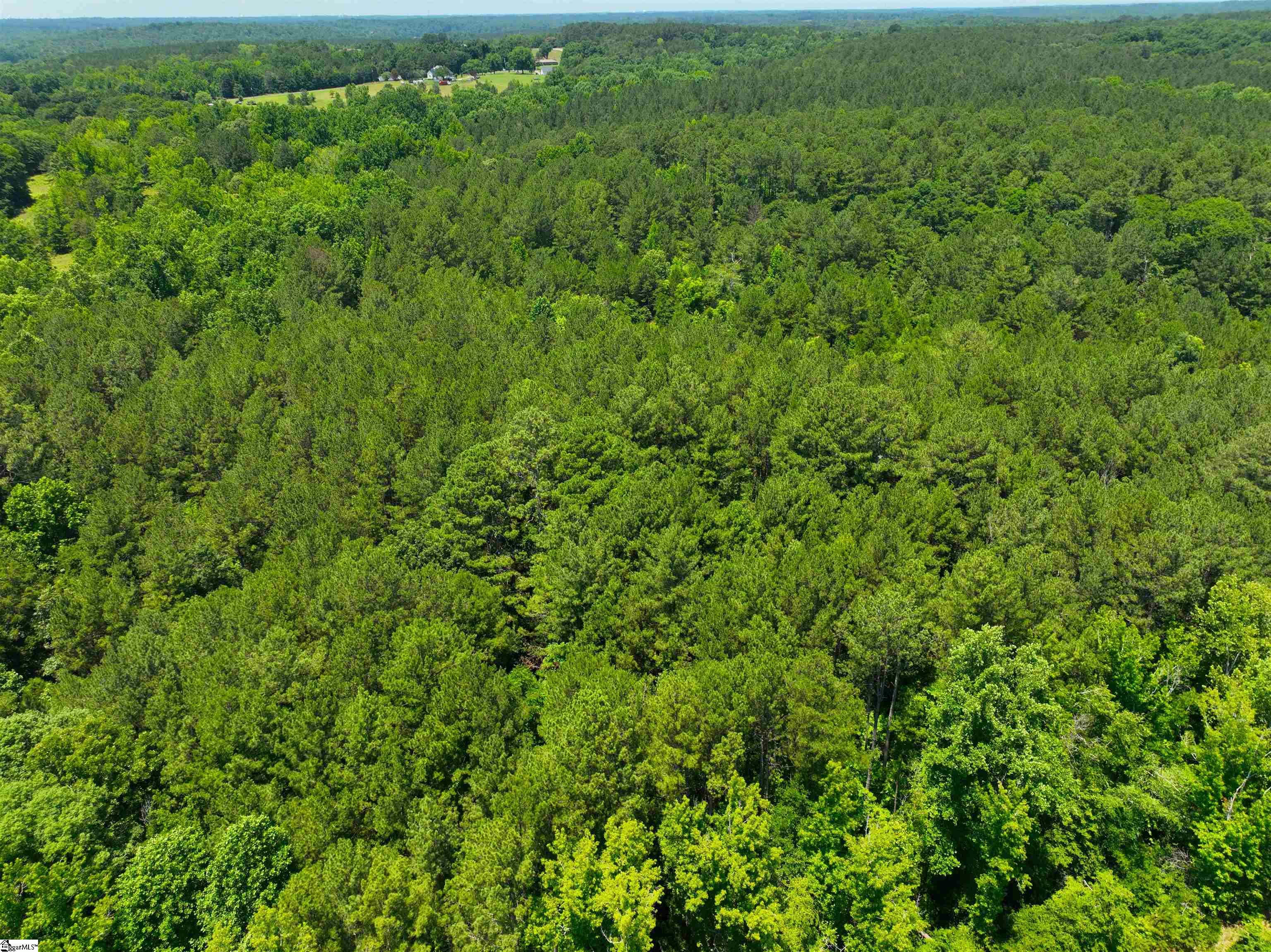 400 State Rd S-4-488 Anderson, SC 29621 - Photo 6 of 10