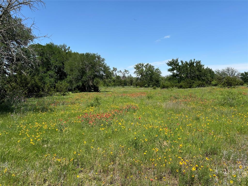 341 West Fm 574 Goldthwaite, TX 76844 - Photo 12 of 40
