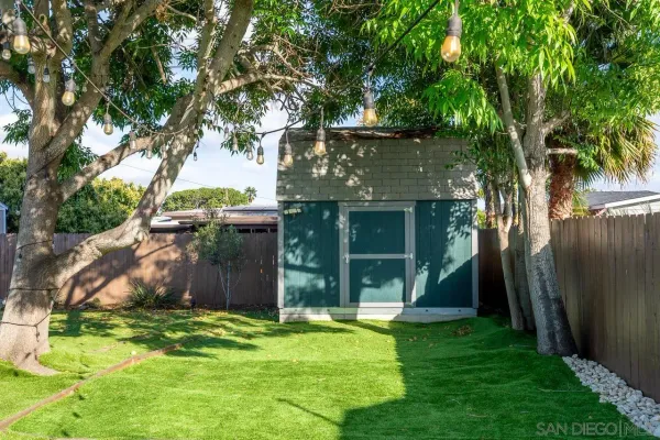 a view of a backyard with a tree