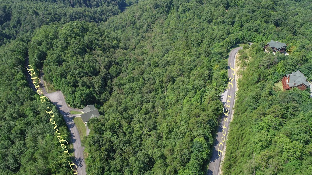 76 Redtail Road Sevierville, TN 37862 - Photo 14 of 23
