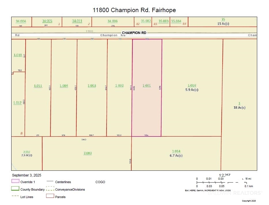 11800 Champion Road Fairhope, AL 36532 - Photo 40 of 40