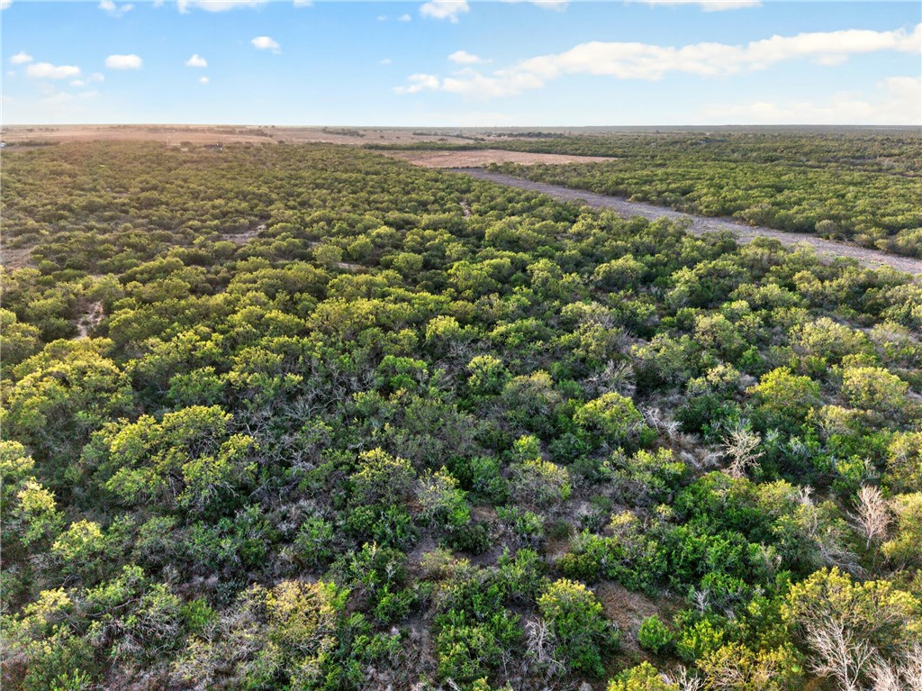 0 Highway 72 Three Rivers, TX 78071 - Photo 7 of 10 Gallery Image 7