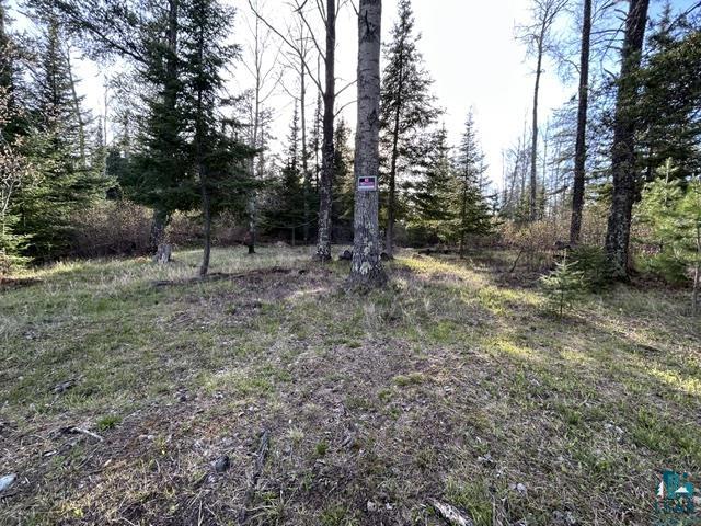 Tbd Tbd Moonlit Island Makinen, MN 55763 - Photo 11 of 23