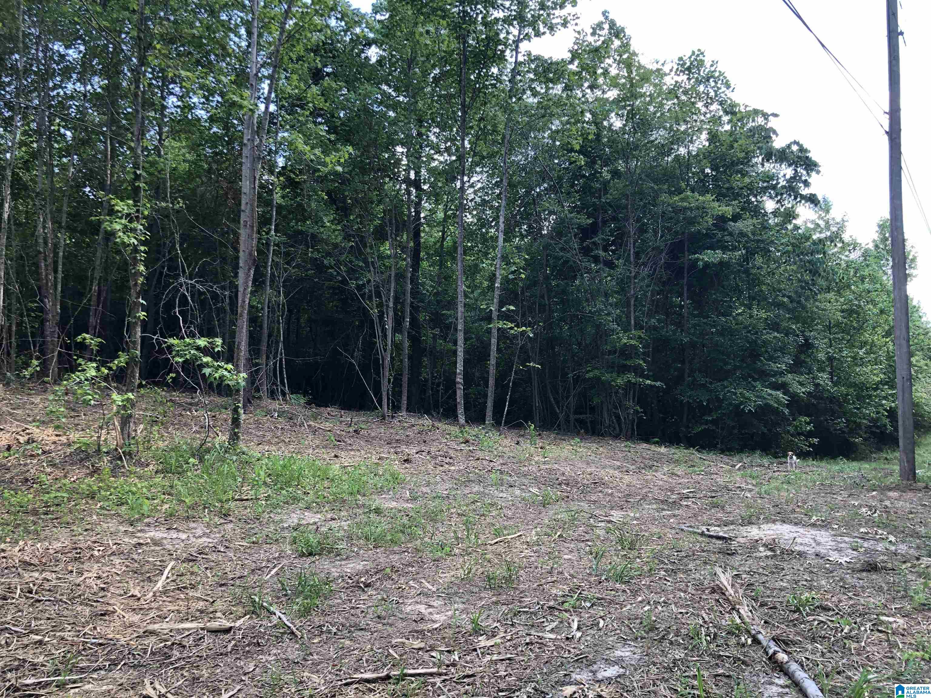 0 Peeks Hill Road, Unit 3 Ohatchee, AL 36271 - Photo 6 of 10