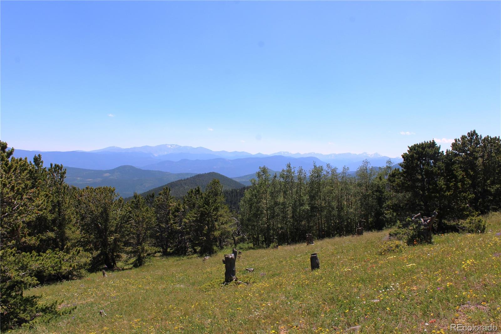 1595 Missouri Gulch Road Black Hawk, CO 80422 - Photo 40 of 49