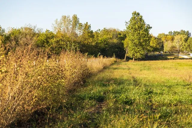 $282,150 | Tract A Walnut Street, Garden City, MO 64747