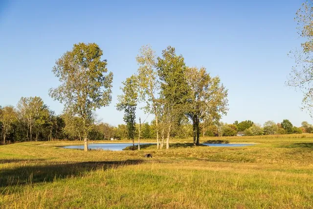 $282,150 | Tract A Walnut Street, Garden City, MO 64747