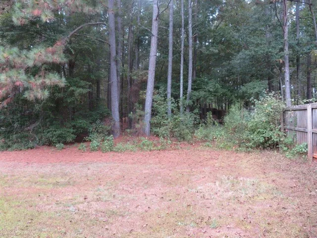 a view of a yard with a tree