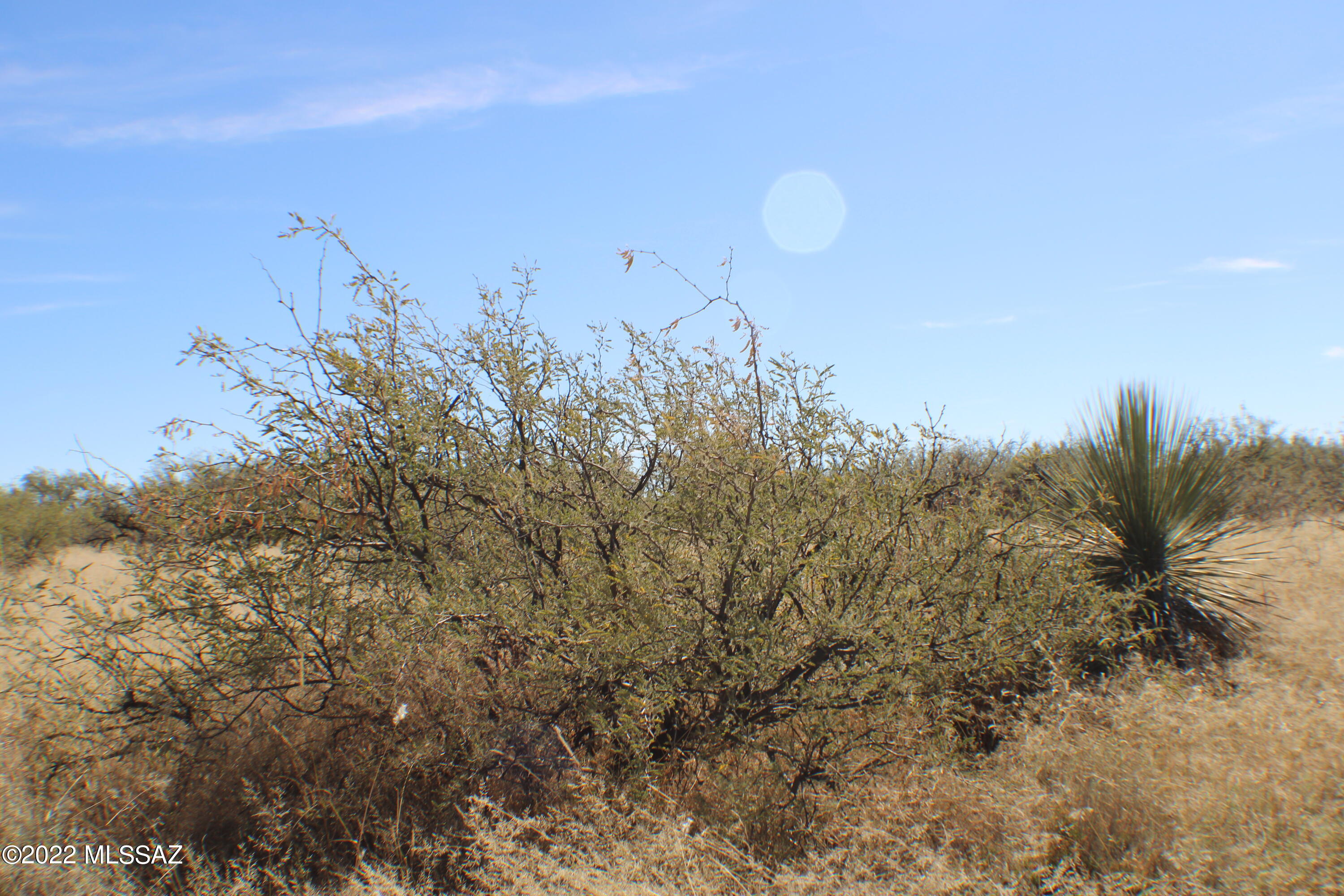 East De Vaca Circle St. David, AZ 85630 - Photo 2 of 20
