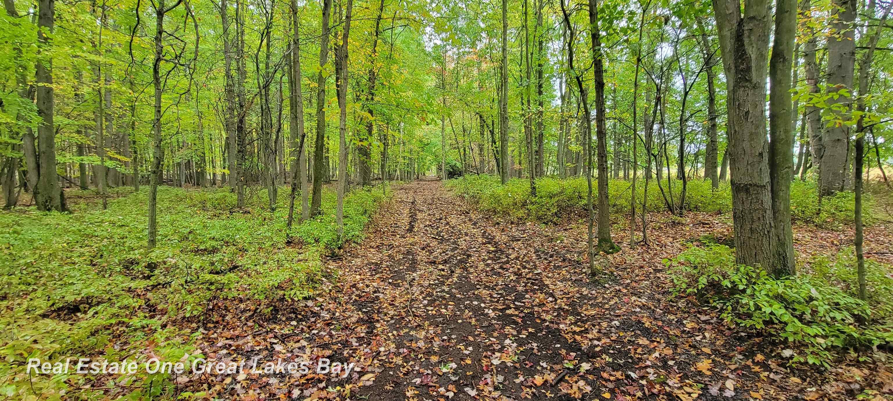 13799 Beaver Road St. Charles, MI 48655 - Photo 67 of 76