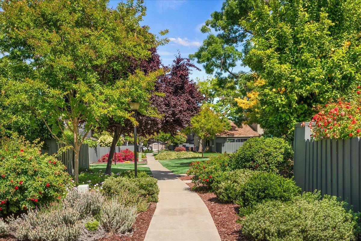 4790 Raspberry Place San Jose, CA 95129 - Photo 27 of 45 a front view of a house with a yard