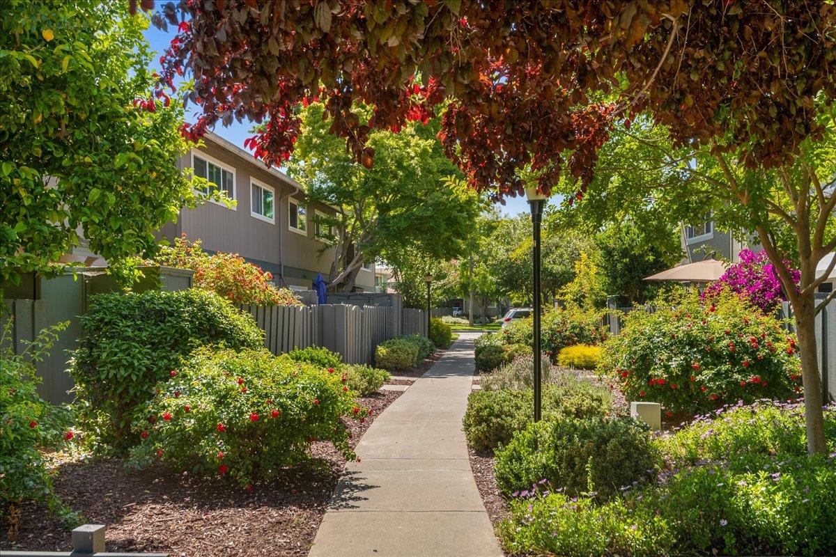 4790 Raspberry Place San Jose, CA 95129 - Photo 28 of 45 a view of a back yard of the house