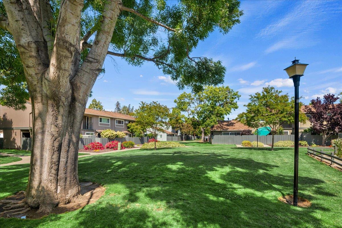 4790 Raspberry Place San Jose, CA 95129 - Photo 30 of 45 a view of a house with a yard and sitting area