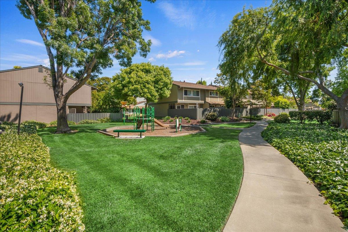 4790 Raspberry Place San Jose, CA 95129 - Photo 45 of 45 a view of a park with plants and a bench