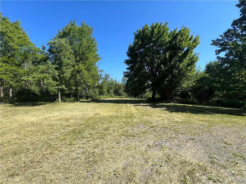 3843 Pre Emption Road Tyrone, NY 14891 - Photo 3 of 9