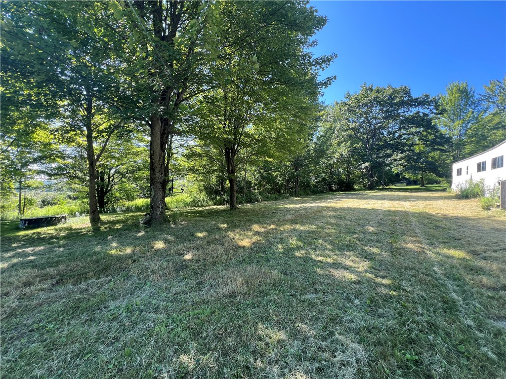 3843 Pre Emption Road Tyrone, NY 14891 - Photo 6 of 9