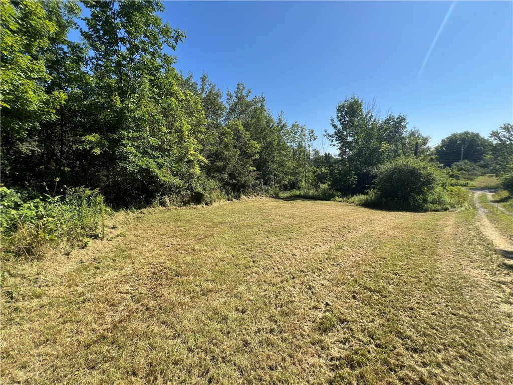 3843 Pre Emption Road Tyrone, NY 14891 - Photo 7 of 9