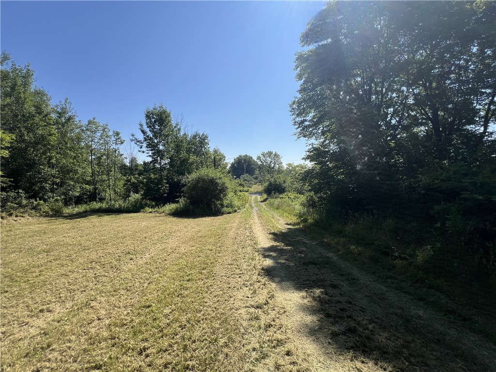 3843 Pre Emption Road Tyrone, NY 14891 - Photo 8 of 9