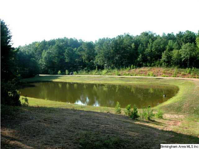 0 Lees Bridge Road, Unit 27 ACRES Delta, AL 36258 - Photo 8 of 8